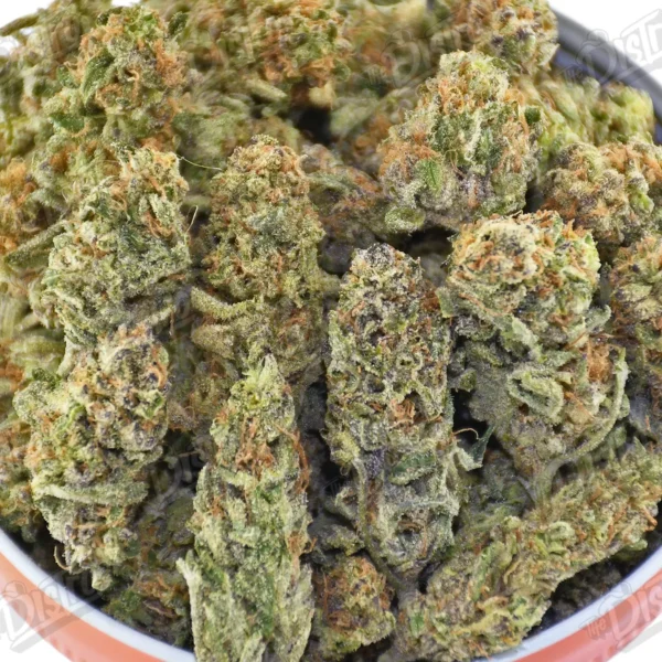 Pink Starburst (Value)