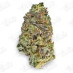 Pink Starburst (Value)