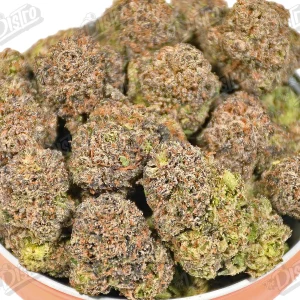 White Death (Top-Shelf) 2
