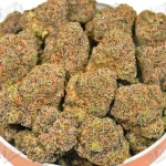 Biscotti (Mid-Premium)