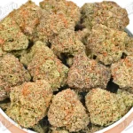 Gelato (Mid-Premium)