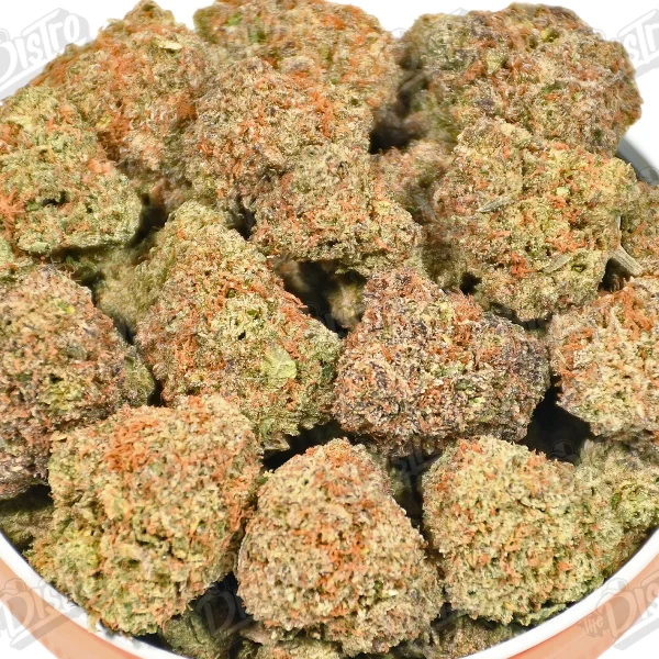 Gelato (Mid-Premium)