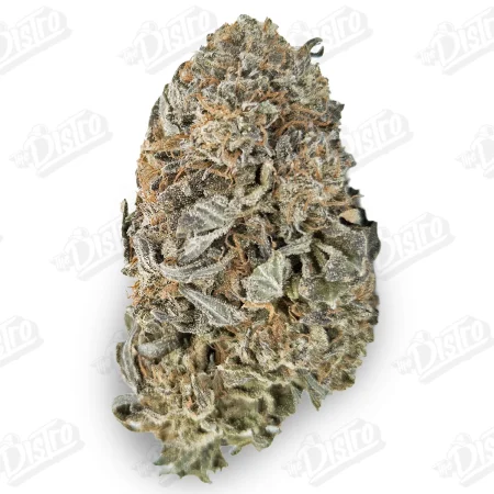 Blackberry Platinum (Value)