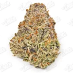 Bolo Runtz (Zaza Exotic)