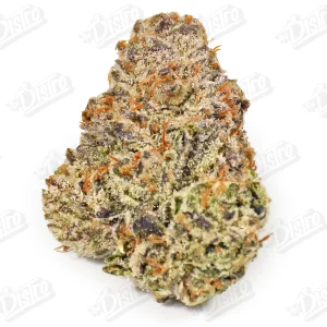 Bolo Runtz (Zaza Exotic)