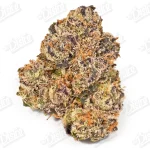 Bubble Gum Gelato (Zaza Exotic)