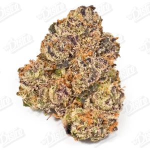 Bubble Gum Gelato (Zaza Exotic)