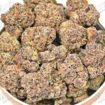 Bubble Gum Gelato (Zaza Exotic)