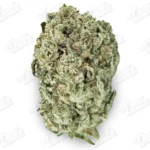 Chem Dawg (Top-Shelf)