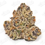 Pink Azul (Zaza Exotic)