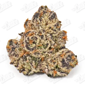 Pink Azul (Zaza Exotic)