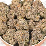 Pink Azul (Zaza Exotic)