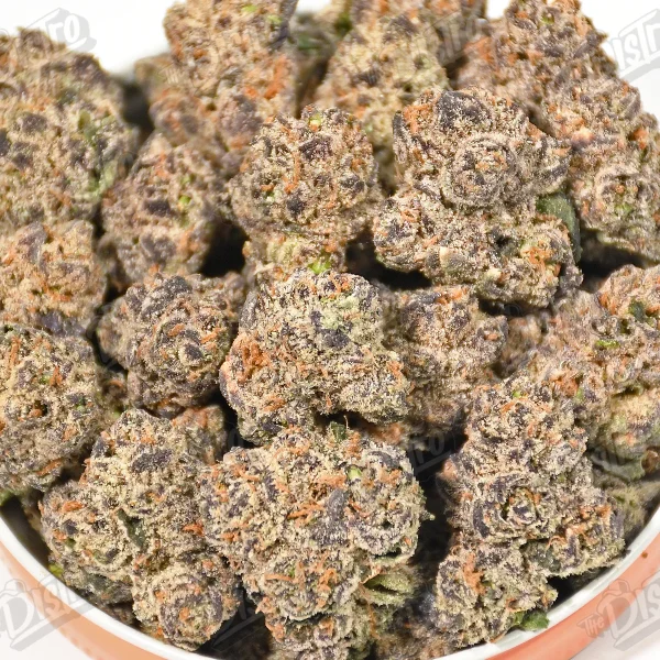 Pink Azul (Zaza Exotic)