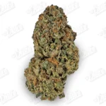 White Cherry Gelato (Mid-Premium)