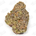 Watermelon Splash (Zaza Exotic)