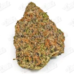 Biscotti (Mid-Premium)