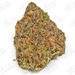 Biscotti (Mid-Premium)