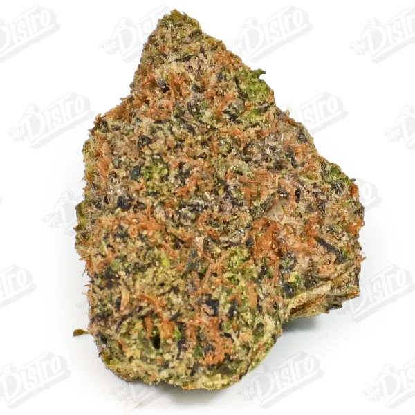 Biscotti (Mid-Premium)