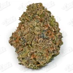 Gelato (Mid-Premium)