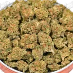 Lemon Haze 'smalls' (Value)