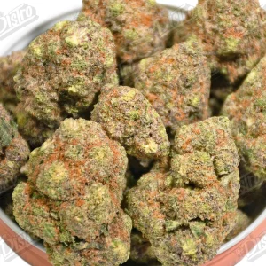 Blue Cookie (Mid-Premium) 2