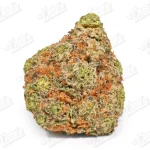 Blue Cookie (Mid-Premium)