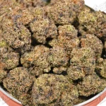 Grape Bubblegum (Zaza Exotic)