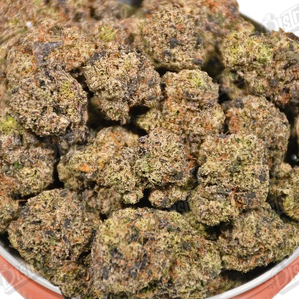 Grape Bubblegum (Zaza Exotic)