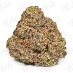 Grape Bubblegum (Zaza Exotic)