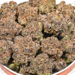 Dolce Runtz (Zaza Exotic)