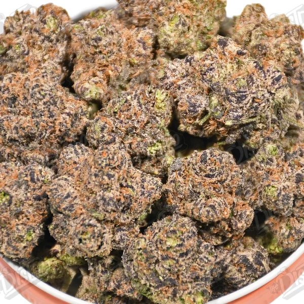 Dolce Runtz (Zaza Exotic)