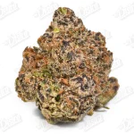 Dolce Runtz (Zaza Exotic)