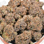 Acai Runtz (Zaza Exotic)