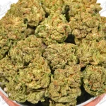Apricot Haze (Mid-Premium)