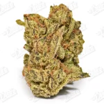Space Cake (Mid-Premium)