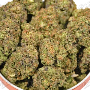 Purple Pancake (Mid-Premium) 2