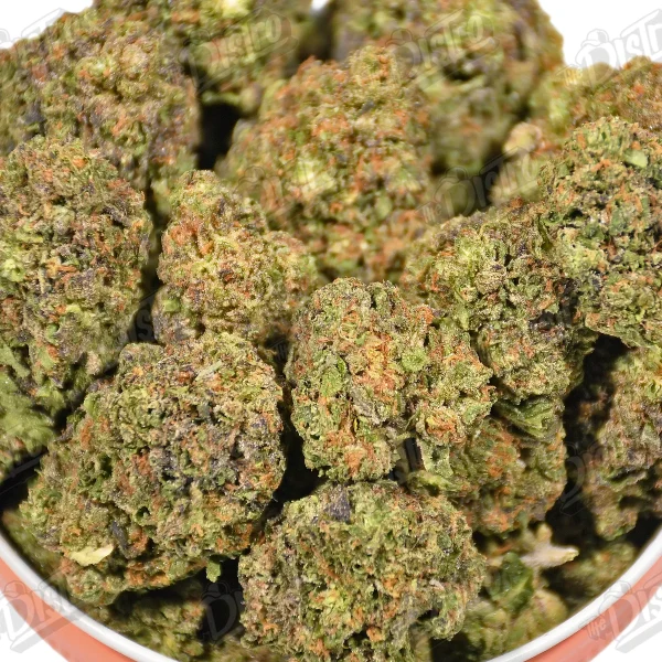 Purple Pancake (Mid-Premium)