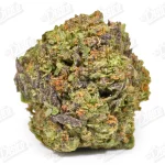 Purple Pancake (Mid-Premium)