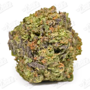 Purple Pancake (Mid-Premium)