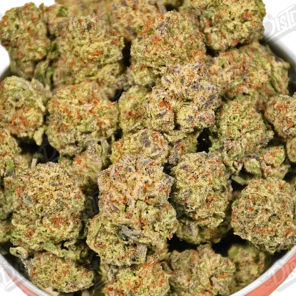 Lemon Cherry Gusher (Mid-Premium)