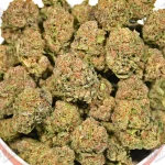 Green Crack (Mid-Premium)