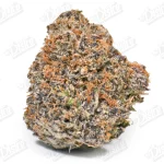 Purple Headies (Zaza Exotic)