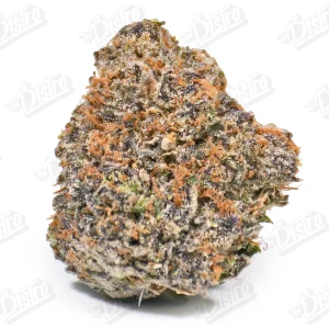 Purple Headies (Zaza Exotic)