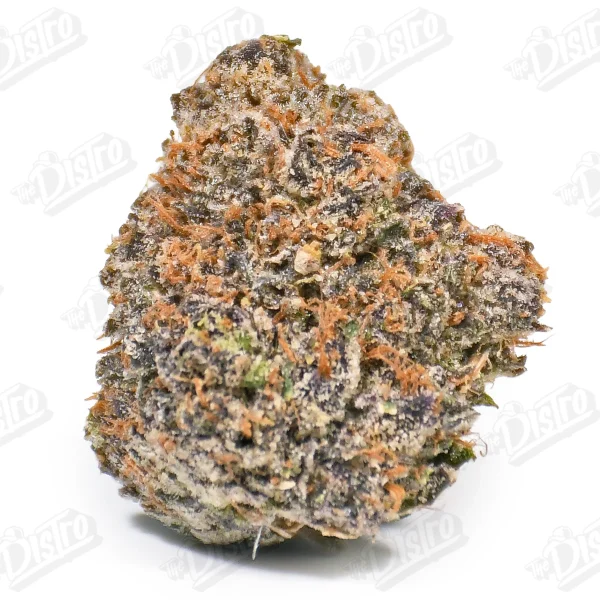 Purple Headies (Zaza Exotic)