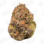 Super Gelato (Top-Shelf)