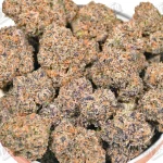 Rainbow Mint (Zaza Exotic)