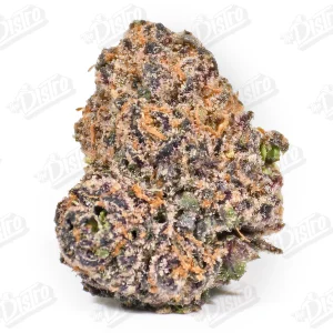 Rainbow Mint (Zaza Exotic)