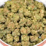 Candy Cake 'sm-meds' (Value)
