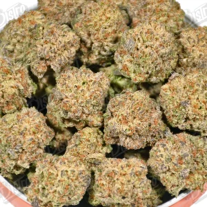 Tropicana Cookie (Mid-Premium) 2
