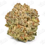 Tropicana Cookie (Mid-Premium)